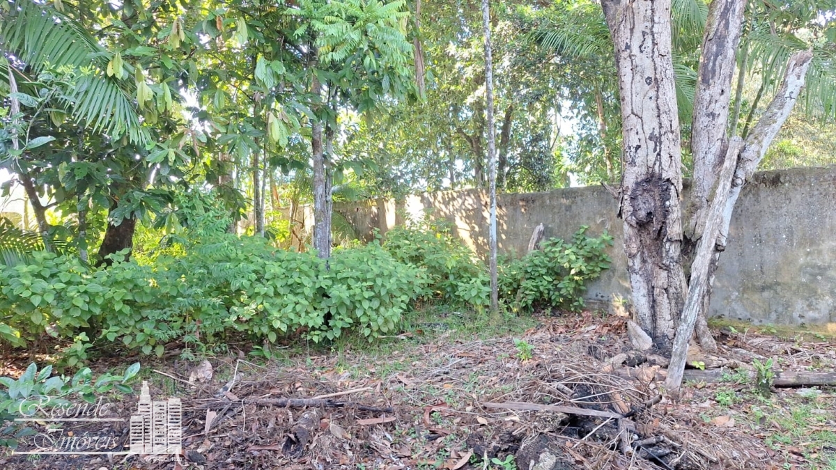 Chácara, 3 quartos, 1800 m² - Foto 13