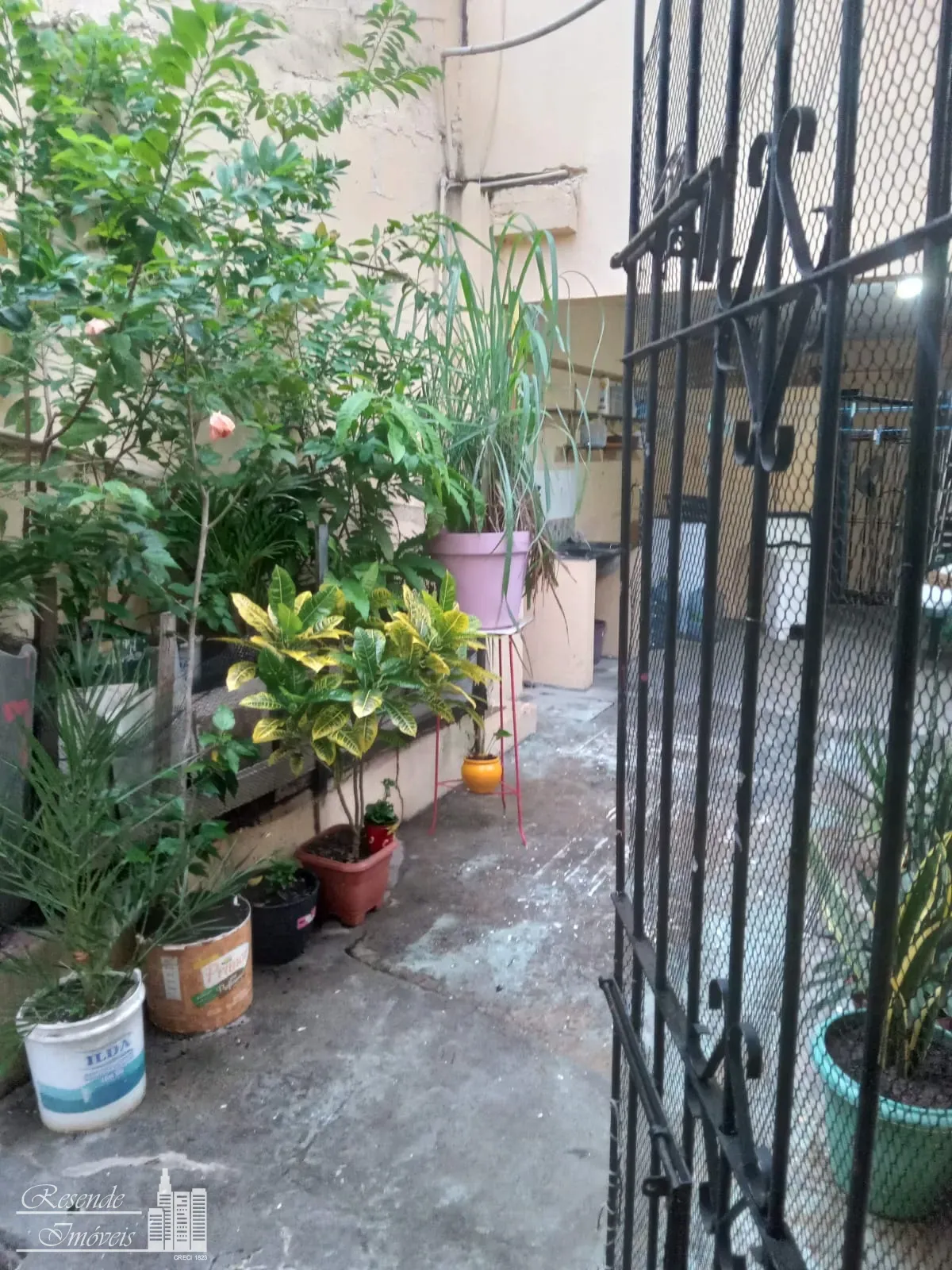 Casa, 4 quartos, 520 m² - Foto 2